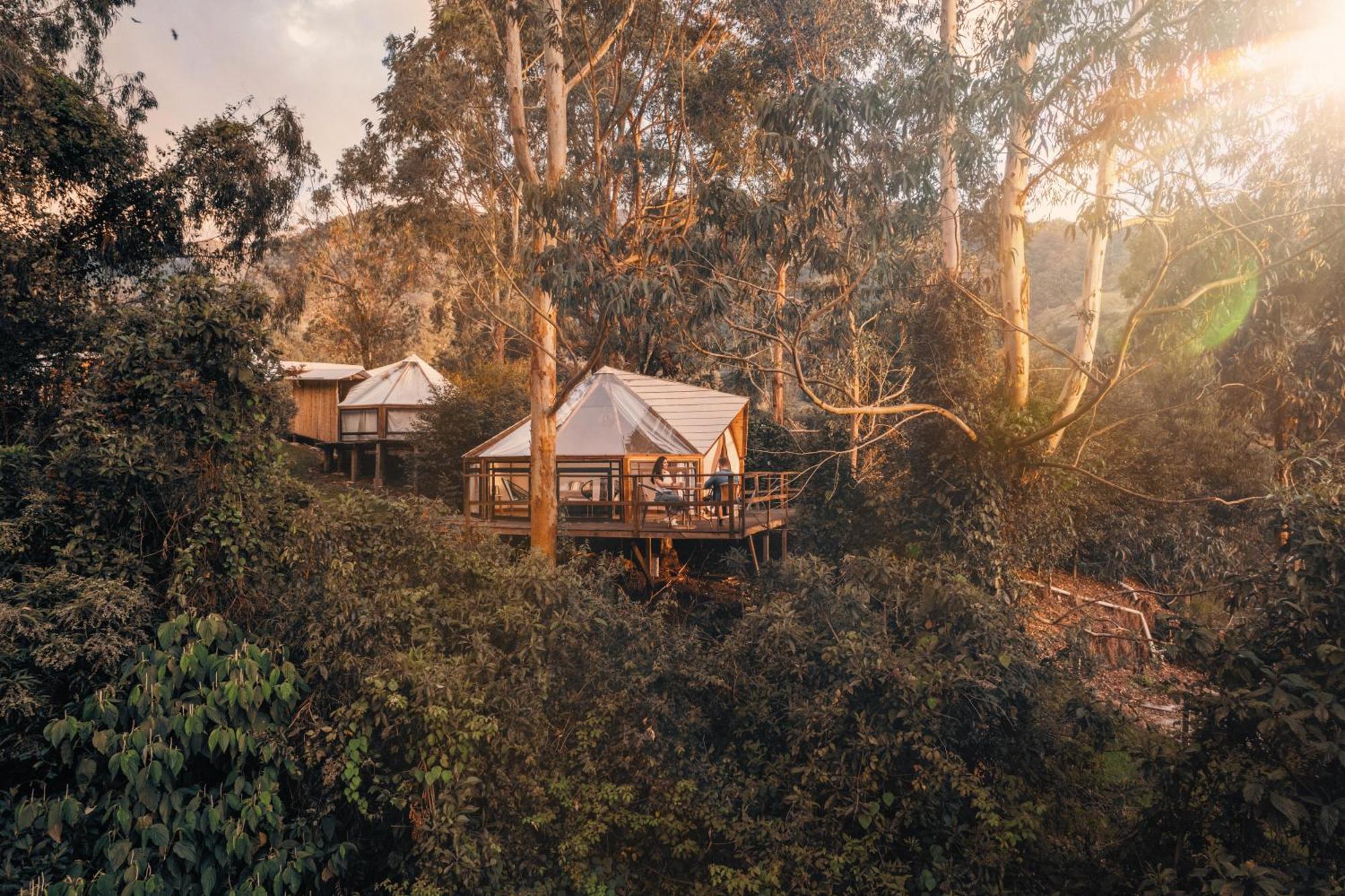 Glamping Lumbre Villa Salento Exteriör bild