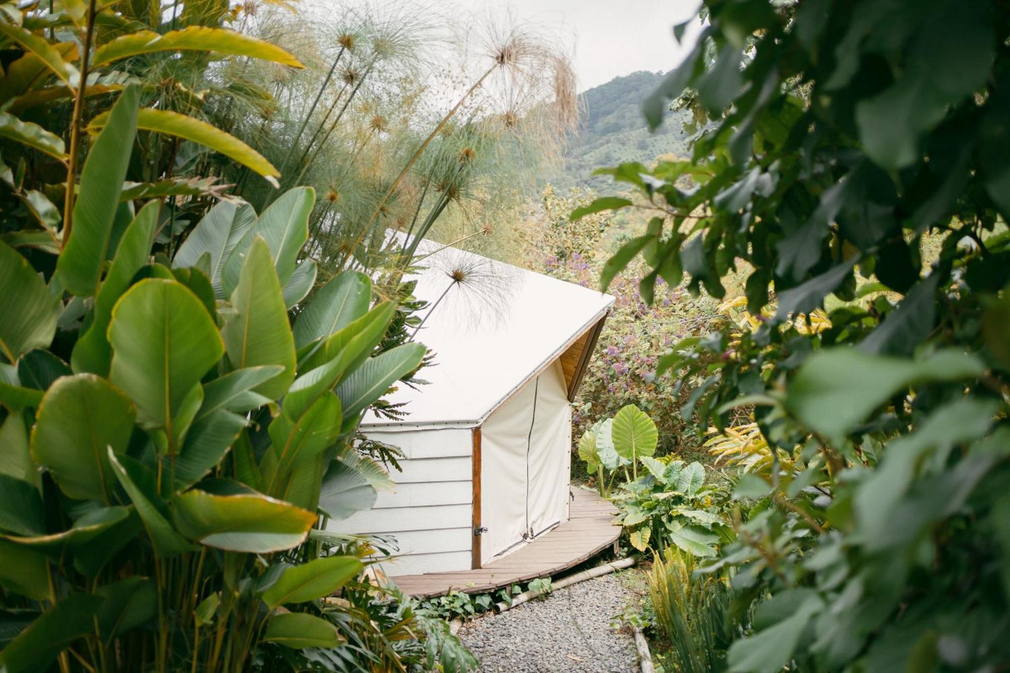 Glamping Lumbre Villa Salento Exteriör bild