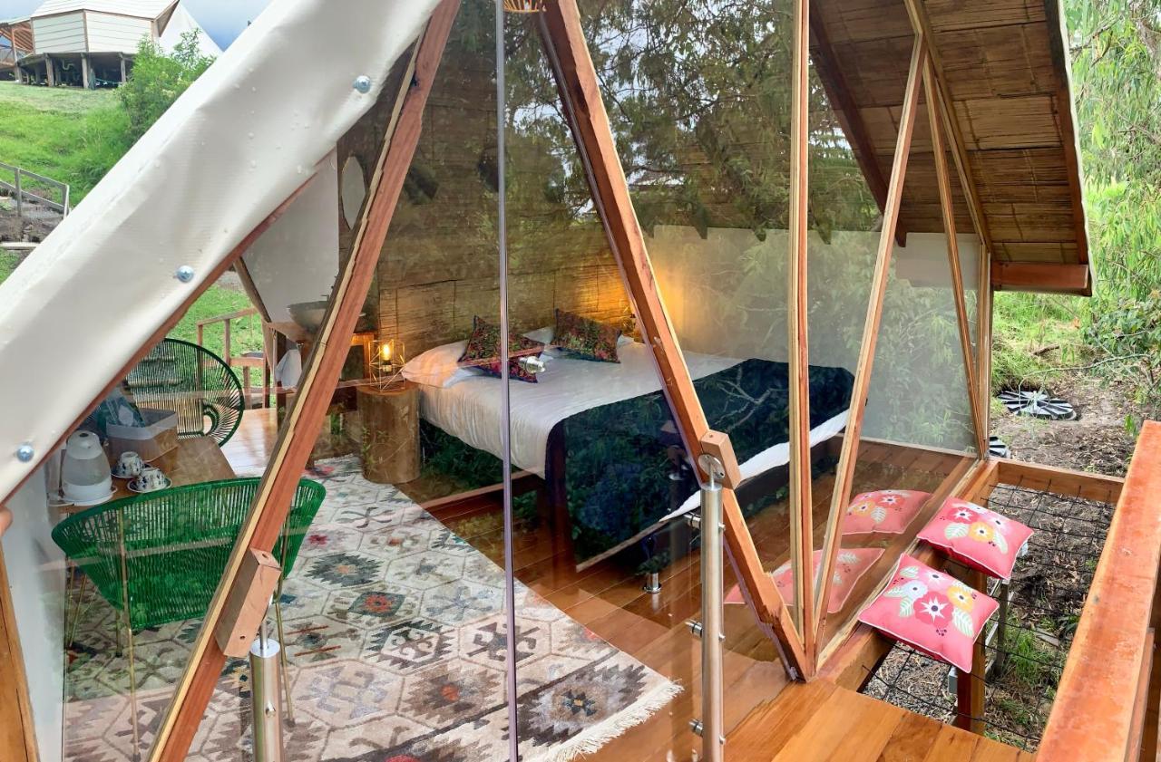 Glamping Lumbre Villa Salento Exteriör bild